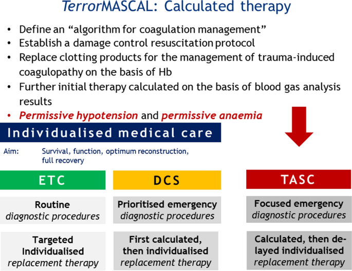 Terrorist incidents: strategic treatment objectives, tactical diagnostic  procedures and the estimated need of blood and clotting products | European  Journal of Trauma and Emergency Surgery