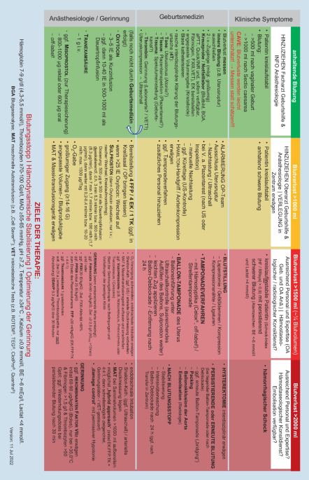 Peripartale Blutungen, Diagnostik und Therapie | Die Anaesthesiologie |  Springer Nature Link