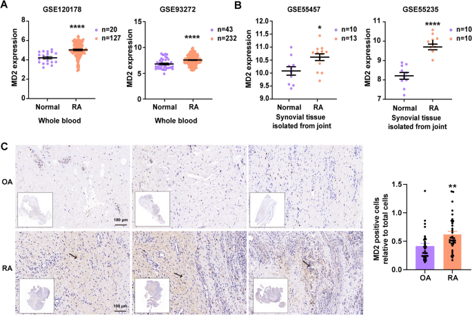 glutathione and rheumatoid arthritis Is Good for Arthritis? Key Benefits  CYMBIOTIKA Targeting myeloid differentiation protein 2