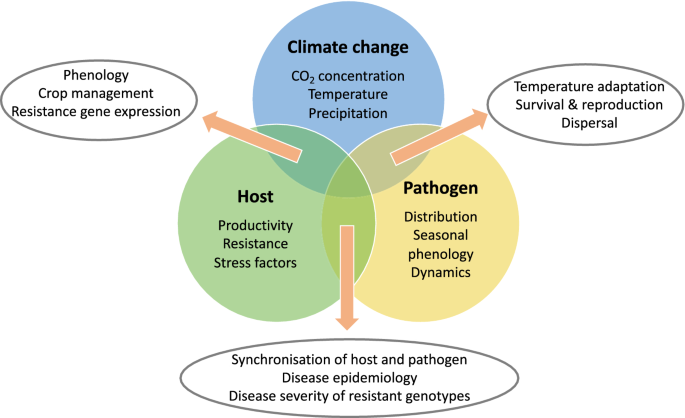 Frontiers  Breeding for Climate Change Resilience: A Case Study