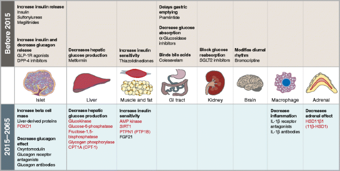 Medications for type 2 diabetes: how will we be treating patients in 50 years? | Diabetologia | Springer Nature Link Medications for type 2 diabetes: how will we be treating patients in 50 years? | Diabetologia | Springer Nature Link