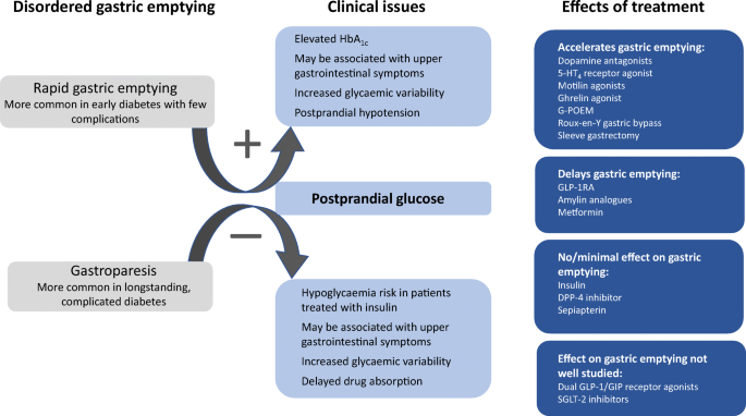glp 1 agonists alzheimer's Coveted GLP-1 Drugs Show Early Promise in Alzheimer's Disease