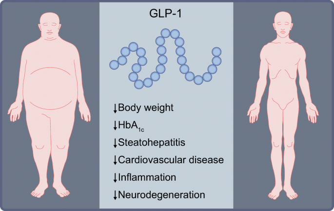 bloom glp 1 The expanding incretin universe: from basic biology to clinical translation  | Diabetologia