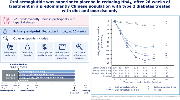 semaglutide type 1 diabetes randomized trial 2024 Efficacy and safety of oral semaglutide monotherapy vs placebo in a  predominantly Chinese population with type 2 diabetes (PIONEER 11): a  double-blind, Phase IIIa, randomised trial | Diabetologia