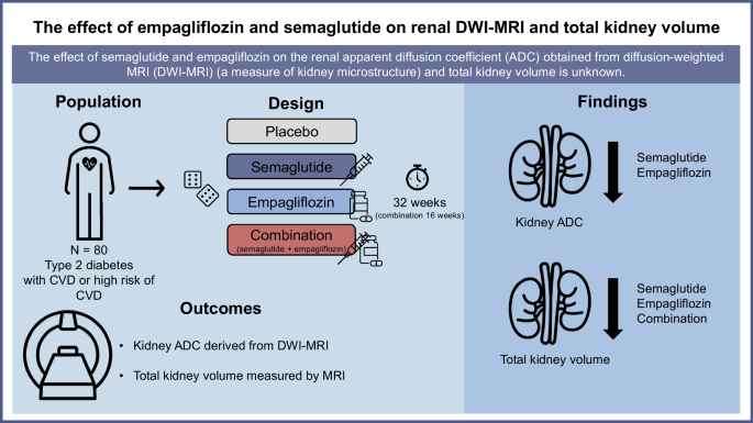can semaglutide cause kidney disease Effects of semaglutide, empagliflozin and their combination on renal  diffusion-weighted MRI and total kidney volume in patients with type 2  diabetes: a post hoc analysis from a 32 week randomised trial |