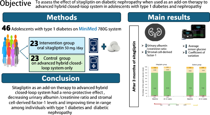 The DPP-4 inhibitor sitagliptin improves glycaemic control and early-stage  diabetic nephropathy in adolescents with type 1 diabetes using the MiniMed  780G advanced hybrid closed-loop system: a randomised controlled trial |  Diabetologia |