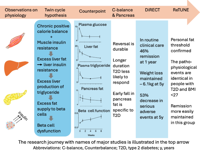 semaglutide pancreatitis law firm in dallas Aetiology of type 2 diabetes: an experimental medicine odyssey |  Diabetologia