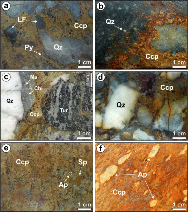 PDF) Sistemática de isótopos estáveis aplicada à caracterização da evolução  dos paleo-sistemas hidrotermais associados aos depósitos cupríferos Alvo  Bacaba e Alvo Castanha, Província Mineral de Carajás, PA