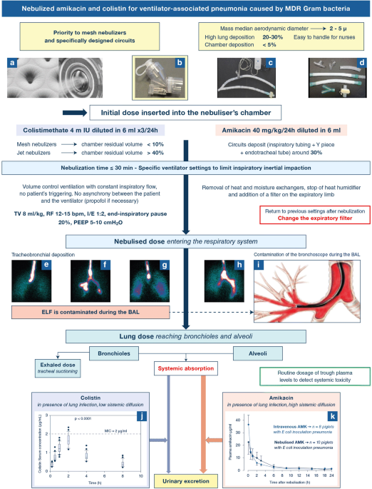 glutathione nebulizer pneumonia Ventilator-associated pneumonia caused by multidrug-resistant Gram-negative  bacteria: understanding nebulization of aminoglycosides and colistin |  Intensive Care Medicine
