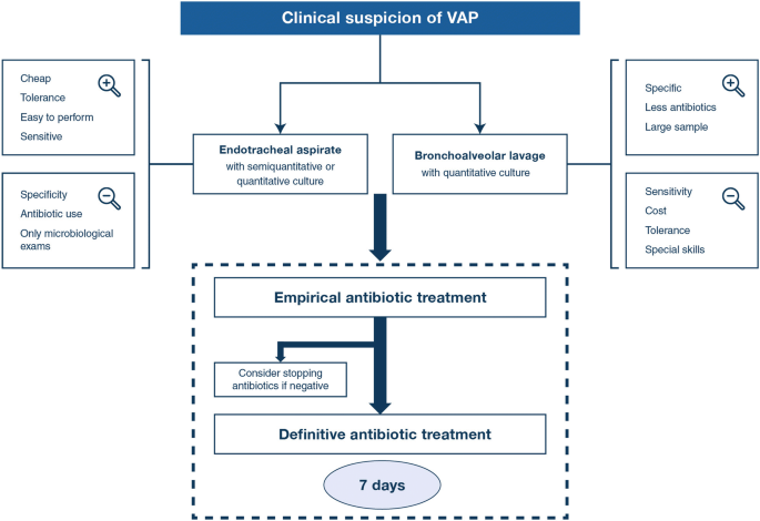 Ventilator-associated pneumonia in adults: a narrative review | Intensive  Care Medicine