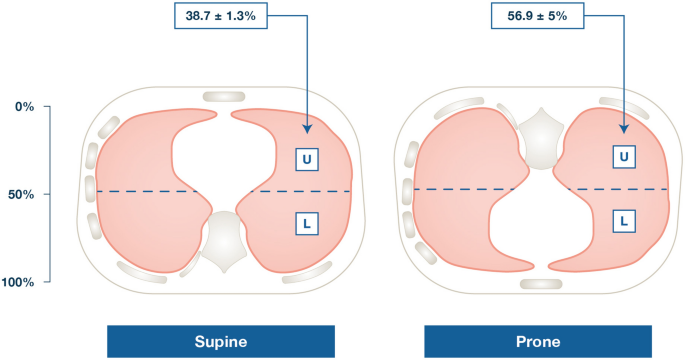 Supine Position: Benefits and When to Use [With Pictures]