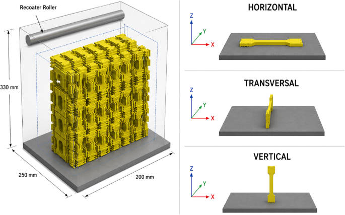 Effect of build orientation and wall thickness on the anisotropic behavior of SLS PA12 with orange-peel morphology - The International Journal of Advanced Manufacturing Technology