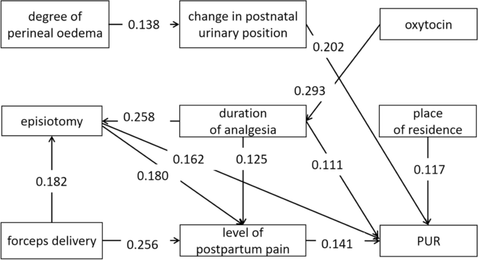 Factors associated with urinary retention after vaginal delivery under  intraspinal anesthesia: a path analysis model