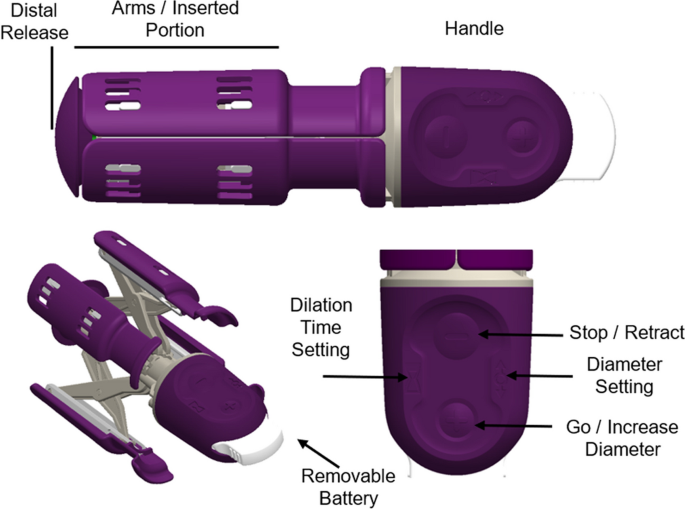 Effect of an Intrapartum Pelvic Dilator Device on Levator Ani Muscle Avulsion During Primiparous Vaginal Delivery: A Pilot Randomized Controlled Trial