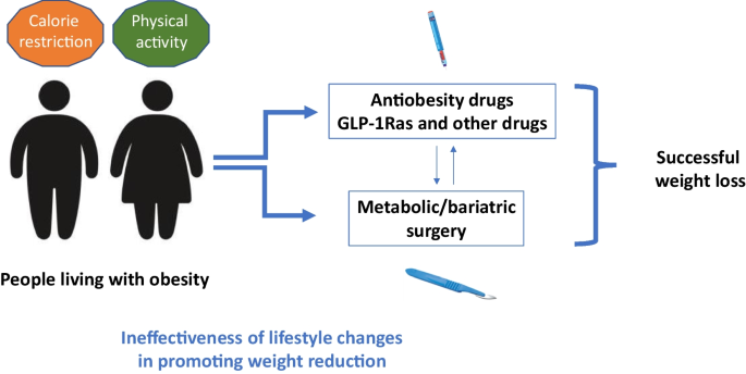 does tirzepatide affect bone density Effects of Glucagon-Like Peptide-1 receptor agonists on bone health in  people living with obesity | Osteoporosis International