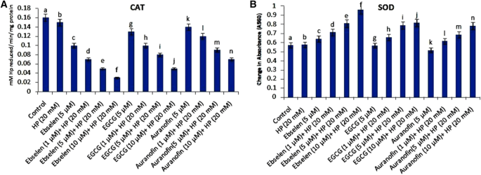 Antioxidative system of Deinococcus radiodurans - ScienceDirect