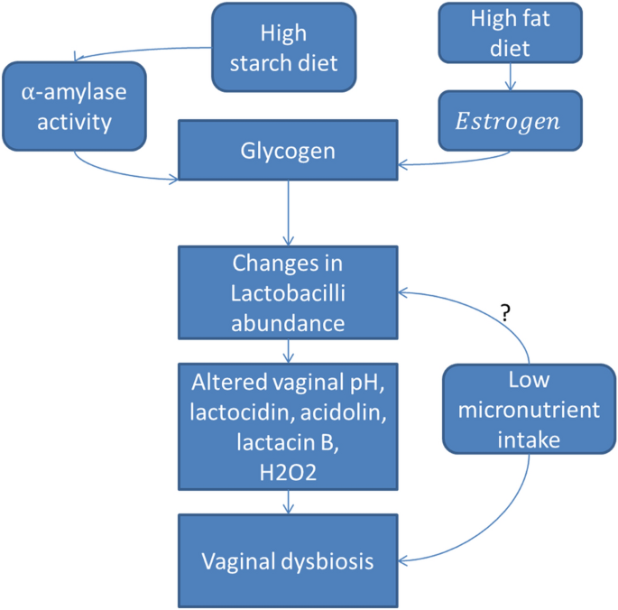 Vaginal microbial diversity and richness in pre-menopausal women versus