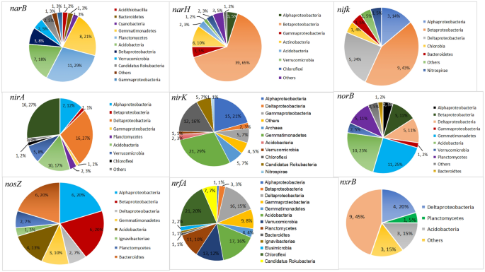 Nitrogen cycle fluxes (g N mm2 yr-') from wetlands classified according