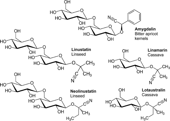 Bioavailability of cyanide after consumption of a single meal of foods  containing high levels of cyanogenic glycosides: a crossover study in humans