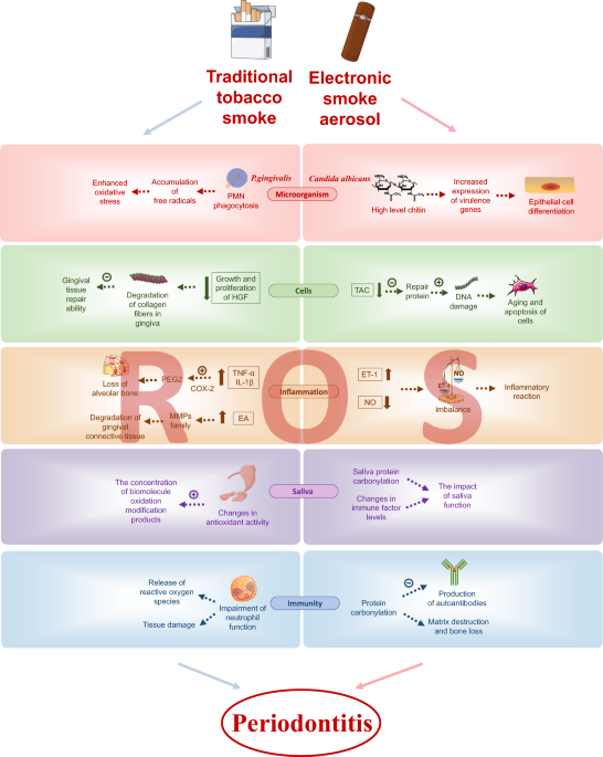 what can you use instead of tobacco in a joint The Hidden Dangers of Combining Cannabis and Tobacco