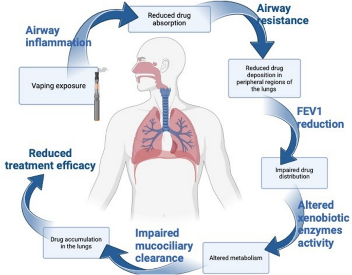 Exploring the influence of vaping on the pharmacokinetic fate of inhaled  therapeutics | Archives of Toxicology