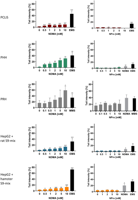 The in vitro alkaline comet assay with liver models as a complementary tool for genotoxicity assessment of N-nitrosamines | Archives of Toxicology | Springer Nature Link The in vitro alkaline comet assay with liver models as a complementary tool for genotoxicity assessment of N-nitrosamines | Archives of Toxicology | Springer Nature Link