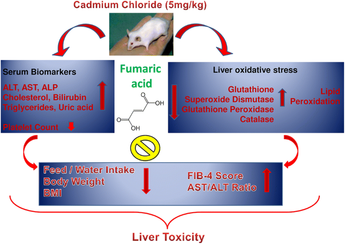 lipotocin glutathione Lypo-Spheric Glutathione  LivOn Laboratories