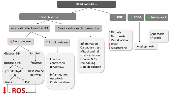 glp-1 and uti Comparing Ozempic, Wegovy and Other GLP-1 Drugs