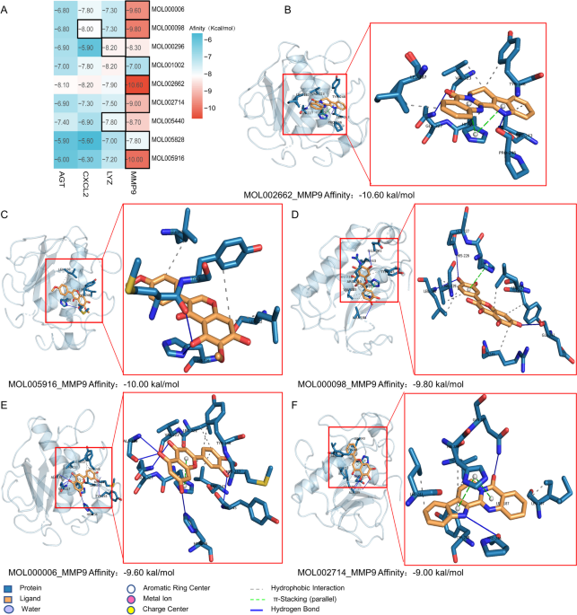 Integrated bioinformatics and network pharmacology to identify the  therapeutic target and molecular mechanisms of Huangqin decoction on  ulcerative Colitis