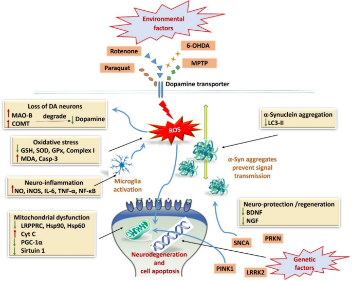 where can i get glutathione iv near me How Often Should You Get IV-Glutathione Infusions?