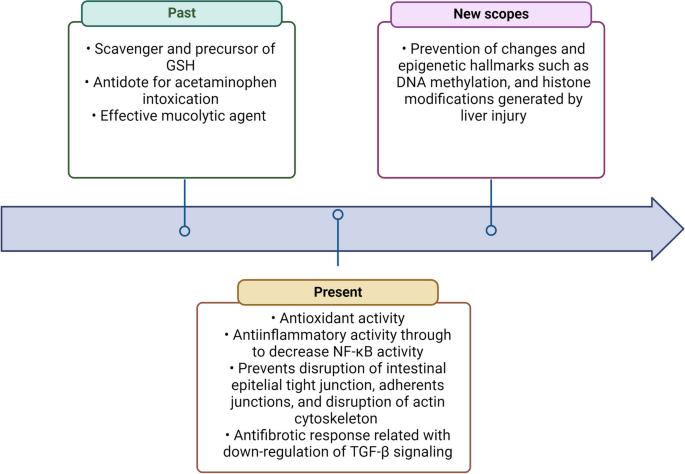 kb l glutathione plus nac review A new opportunity for N-acetylcysteine. An outline of its classic  antioxidant effects and its pharmacological potential as an epigenetic  modulator in liver diseases treatment | Naunyn-Schmiedeberg's Archives of  Pharmacology