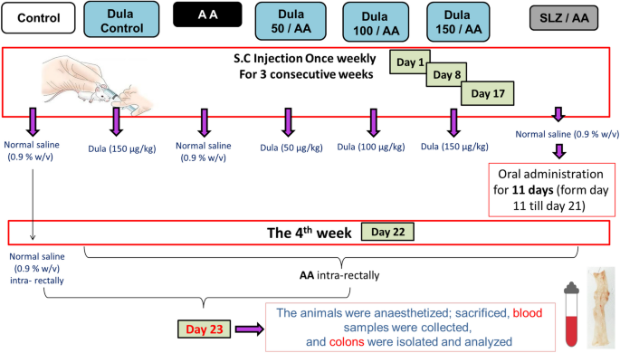 glp-1 and ulcerative colitis Protective effect of Dulaglutide, a GLP1 agonist, on acetic acid-induced ulcerative  colitis in rats: involvement of GLP-1, TFF-3, and TGF-β/PI3K/NF-κB  signaling pathway | Naunyn-Schmiedeberg's Archives of Pharmacology