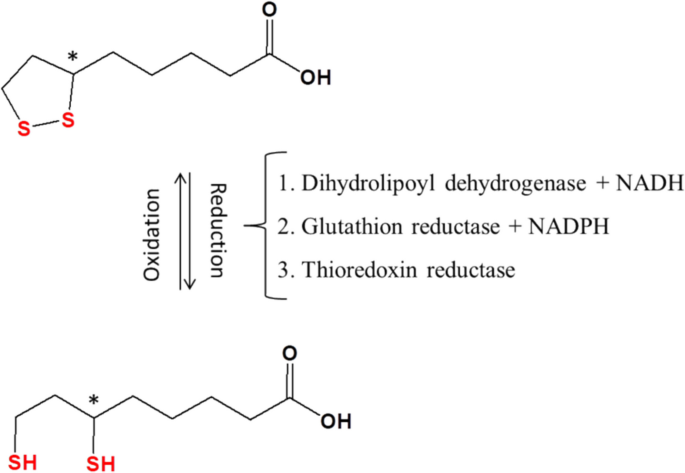lipoic acid glutathione Lipoic acid as a protective agent against lipopolysaccharide and other  natural toxins: a comprehensive review | Naunyn-Schmiedeberg's Archives of  Pharmacology