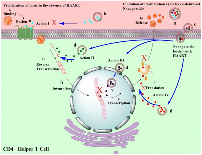 how to reconstitute 2mg ipamorelin Ipamorelin Reconstitution: 5mg + 2mL Chart (2026)