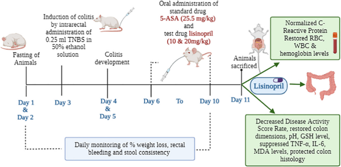 can you inject glutathione IV Drips vs IM Injections: Fast Relief or Lasting Wellness?