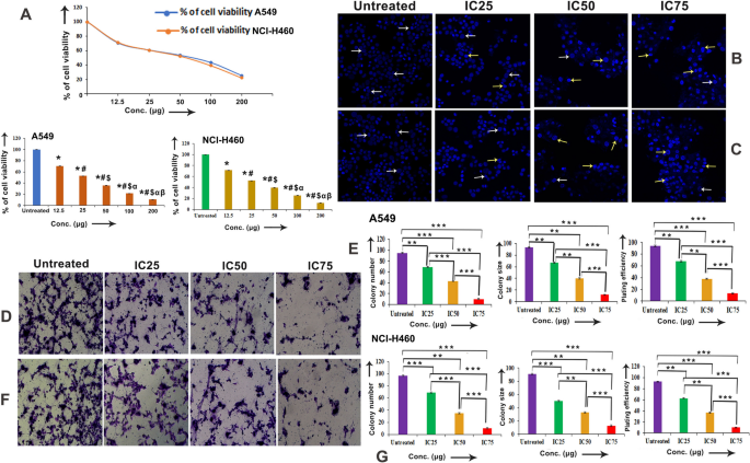 improve glutathione s transferase The triple role of glutathione S-transferases in mammalian male fertility |  Cellular and Molecular Life Sciences