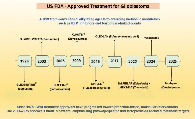 kb glutathione fda approved Ferroptosis-induced immune modulation: a new frontier in glioblastoma therapy | Naunyn-Schmiedeberg's Archives of Pharmacology Option:Baldwins Organic Cold Pressed Black Cumin Seed Oil 100ml b12 injection — Esthetics dullness