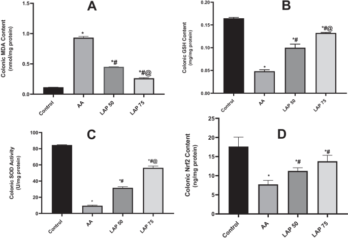 Lapatinib mitigates acetic acid-induced ulcerative colitis and hepatic damage in rats