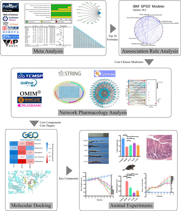 Isorhamnetin ameliorates active ulcerative colitis potentially involving the Nrf2-PTGS2 axis: an integrative study from clinical evidence mining to in vivo validation