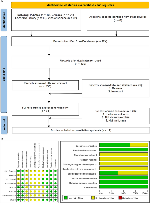 Preclinical and limited clinical evidence for metformin in ulcerative colitis: a systematic review and meta-analysis