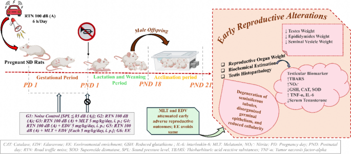 dosage of dr james glutathione Prenatal road traffic noise impairs early testicular development in Sprague–Dawley offspring: pharmacological rescue by melatonin and edaravone; developmental preservation by environmental enrichment Glutathione Injection — 30-Day cows Size:30ct