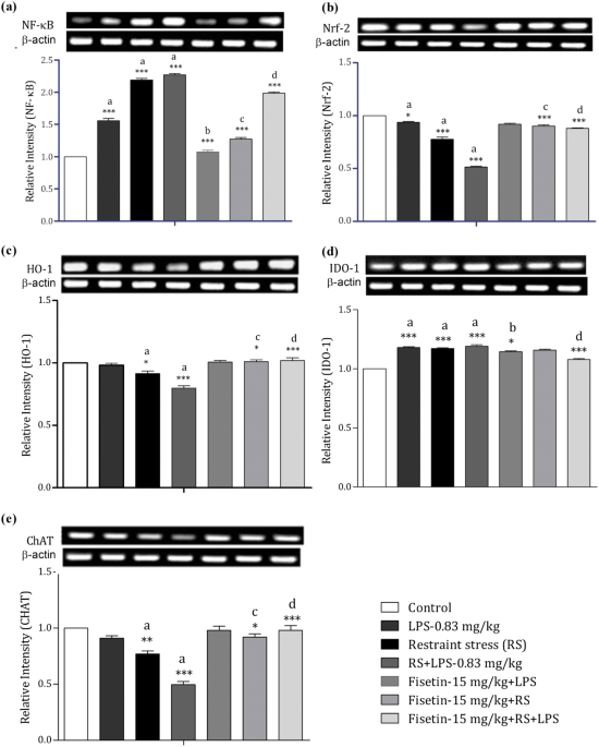 Ameliorative effect of fisetin against lipopolysaccharide and restraint  stress-induced behavioral deficits via modulation of NF-κB and IDO-1