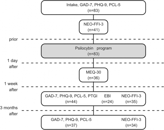 Moderating factors in psilocybin-assisted treatment affecting mood and  personality: A naturalistic, open-label investigation | Psychopharmacology 