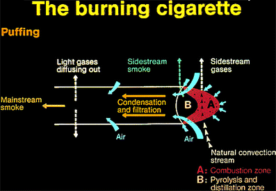 gases in cigarette smoke New insights into the formation of volatile compounds in mainstream cigarette  smoke | Analytical and Bioanalytical Chemistry