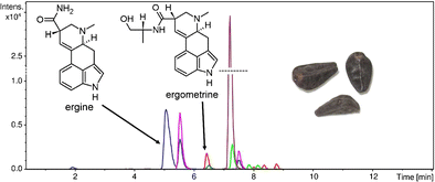 Identification and determination of ergot alkaloids in Morning Glory  cultivars | Analytical and Bioanalytical Chemistry | Springer Nature Link