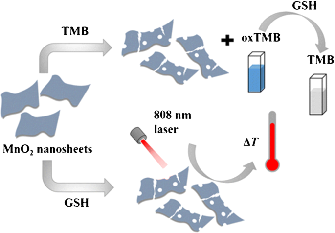 methionine and glutathione synthesis Metabolic linkage of methionine (Met), cysteine (Cys), and glutathione