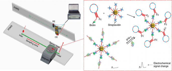 The diagnostic performance of novel skin-based in-vivo tests for  tuberculosis infection compared with purified protein derivative tuberculin  skin tests and blood-based in vitro interferon-γ release assays: a  systematic review and meta-analysis 