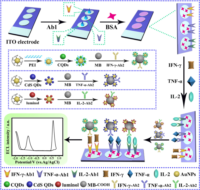 The diagnostic performance of novel skin-based in-vivo tests for  tuberculosis infection compared with purified protein derivative tuberculin  skin tests and blood-based in vitro interferon-γ release assays: a  systematic review and meta-analysis 