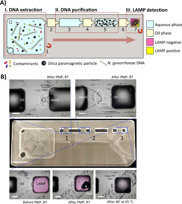 Microscale Techniques - Extractions