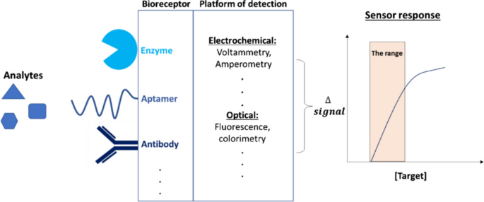 Aptamer recognition-promoted hybridization chain reaction for amplified  label-free and enzyme-free fluorescence analysis of pesticide -  ScienceDirect